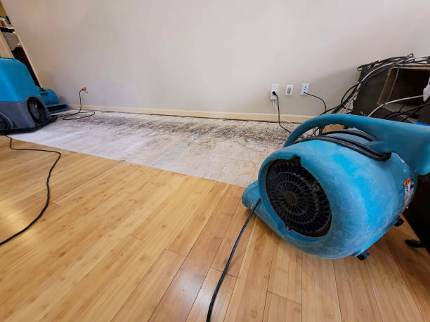 Professional Sewage Cleanup technician working in Huntington, UT